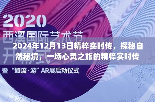 探秘自然秘境，心靈之旅的精粹實(shí)時(shí)傳（2024年12月13日）