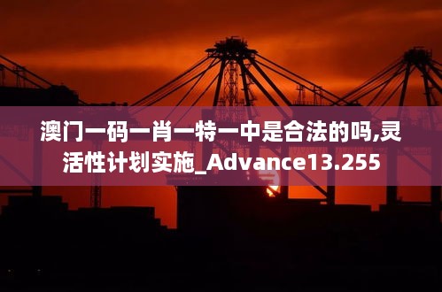 澳門一碼一肖一特一中是合法的嗎,靈活性計劃實(shí)施_Advance13.255