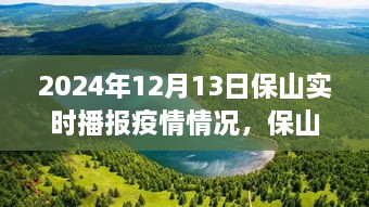 保山疫情實(shí)時(shí)播報(bào)與美景之旅，心靈避風(fēng)港，啟程尋找內(nèi)心寧靜與奇跡之旅（XXXX年XX月XX日）