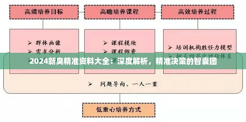 2024新臭精準(zhǔn)資料大全：深度解析，精準(zhǔn)決策的智囊團(tuán)