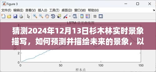 預(yù)測與描繪未來，杉木林在2024年12月13日的實時景象