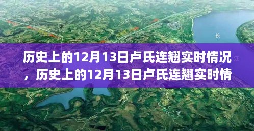 探索歷史上的盧氏連翹實(shí)時(shí)情況，指南與手冊(cè)揭秘盧氏連翹奧秘