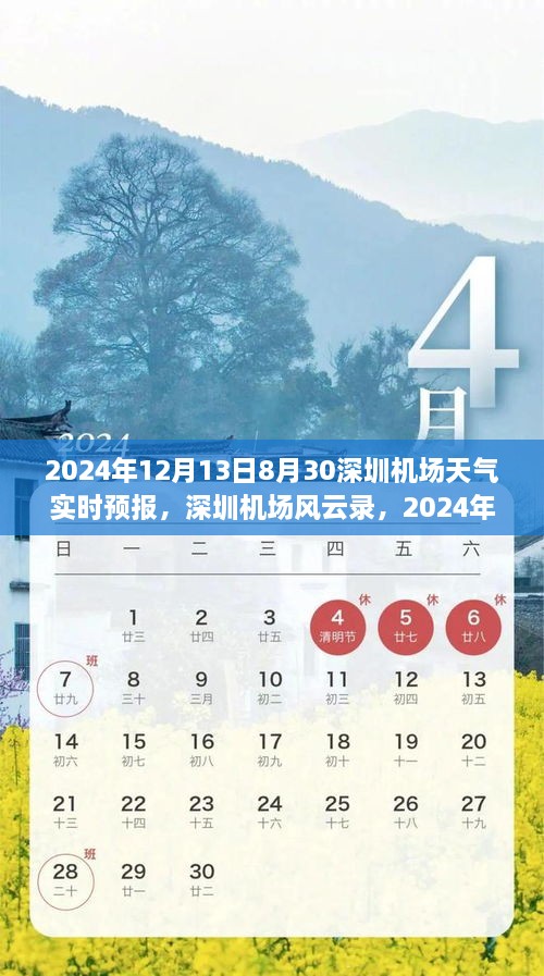 深圳機(jī)場天氣預(yù)報紀(jì)實(shí)，風(fēng)云變幻下的航班動態(tài)與影響