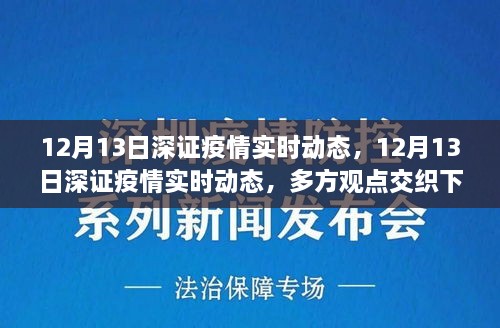 多方觀點交織下的洞察與反思，12月13日深證疫情實時動態(tài)分析