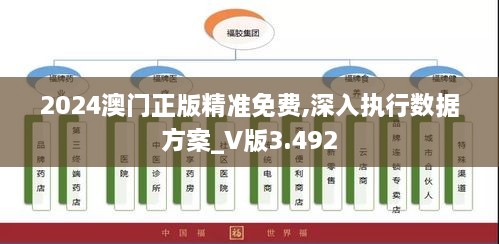 2024澳門正版精準免費,深入執(zhí)行數(shù)據(jù)方案_V版3.492