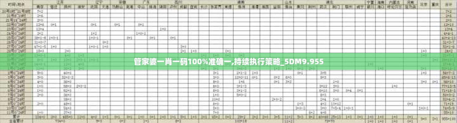 管家婆一肖一碼100%準(zhǔn)確一,持續(xù)執(zhí)行策略_5DM9.955