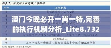 澳門(mén)今晚必開(kāi)一肖一特,完善的執(zhí)行機(jī)制分析_Lite8.732