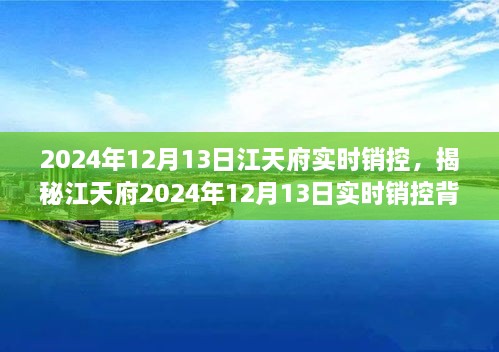 揭秘江天府實(shí)時(shí)銷控背后的秘密，深度解析2024年12月13日數(shù)據(jù)動(dòng)態(tài)與趨勢(shì)分析