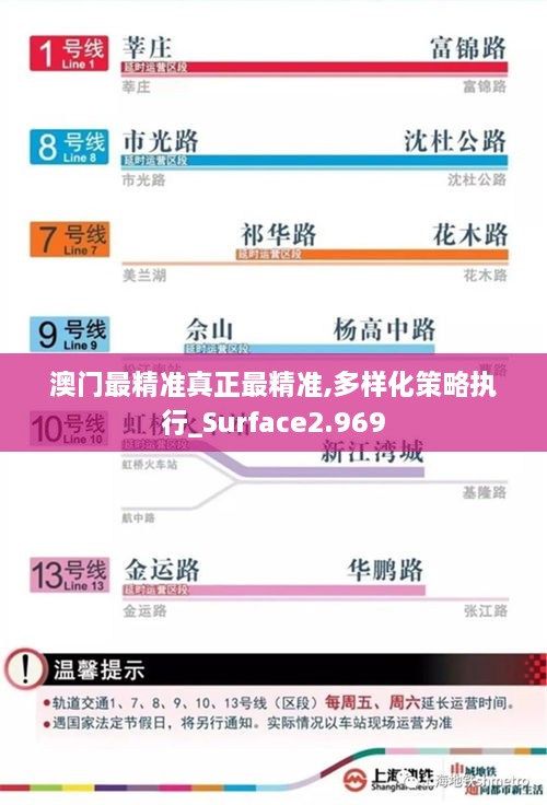 澳門最精準真正最精準,多樣化策略執(zhí)行_Surface2.969