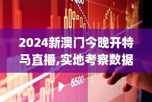 2024新澳門今晚開特馬直播,實地考察數據策略_Premium10.593