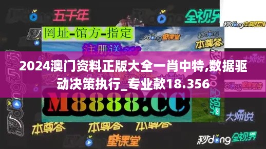 2024澳門資料正版大全一肖中特,數據驅動決策執(zhí)行_專業(yè)款18.356