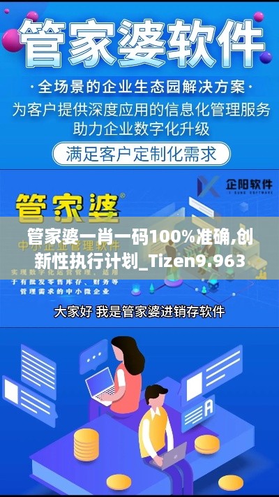 管家婆一肖一碼100%準確,創(chuàng)新性執(zhí)行計劃_Tizen9.963