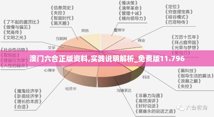 澳門六合正版資料,實(shí)踐說明解析_免費(fèi)版11.796