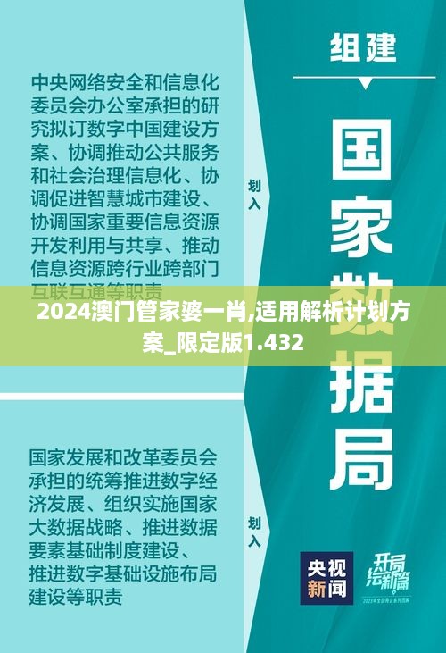 2024澳門(mén)管家婆一肖,適用解析計(jì)劃方案_限定版1.432