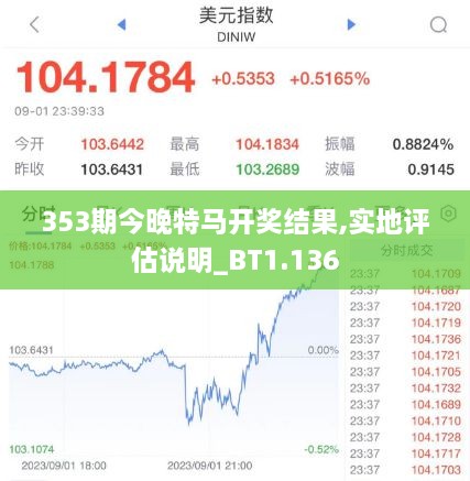 353期今晚特馬開獎結果,實地評估說明_BT1.136