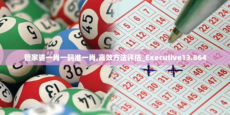 管家婆一肖一碼準(zhǔn)一肖,高效方法評估_Executive13.864