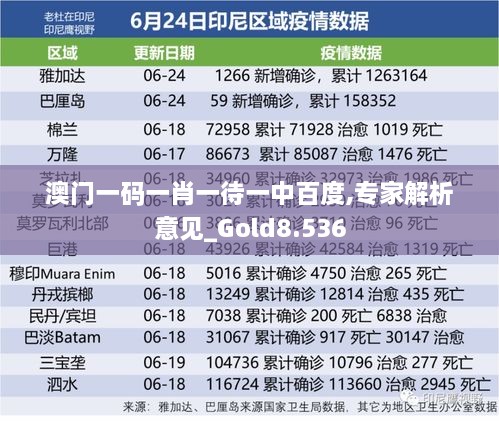 澳門一碼一肖一待一中百度,專家解析意見_Gold8.536