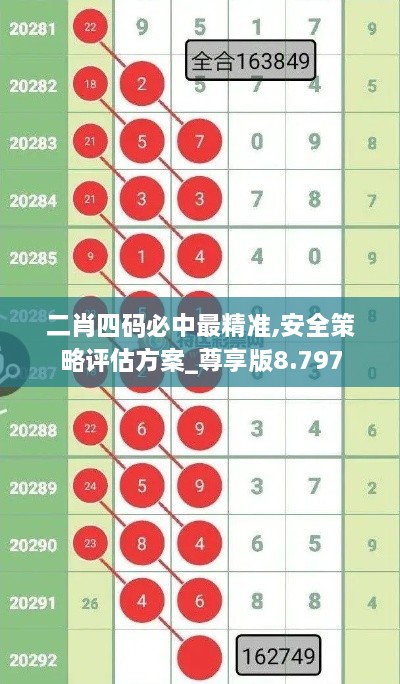 二肖四碼必中最精準(zhǔn),安全策略評估方案_尊享版8.797