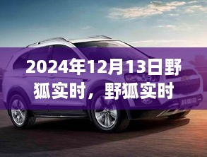 野狐實時，溫馨日常中的歡樂時光（2024年12月13日）