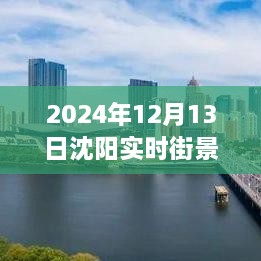 沈陽(yáng)獨(dú)家揭秘，2024年實(shí)時(shí)街景地圖全解析，領(lǐng)略城市新風(fēng)貌