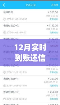 12月實(shí)時到賬，高效管理信用卡欠款，輕松還信用卡