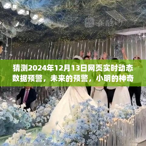 小明預(yù)測未來，神奇數(shù)據(jù)故事揭示2024年12月13日網(wǎng)頁實時動態(tài)數(shù)據(jù)預(yù)警