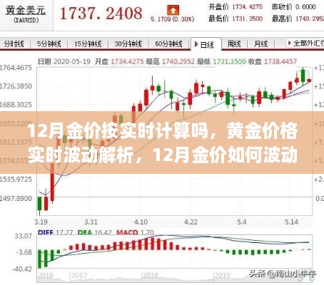 12月黃金價格實時解析，波動原因及預測