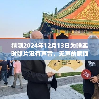 揭秘無聲瞬間背后的故事，為何2024年實時照片無聲開啟學習與成長之旅？