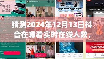 未來視野之旅，揭秘2024年抖音實時在線人數(shù)盛況——家庭日，在線情緣的見證