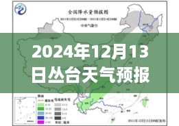 叢臺天氣預(yù)報實(shí)時洞察，2024年12月13日的天氣分析與影響