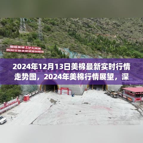 深度解析，2024年美棉行情展望與實(shí)時走勢圖背后的爭議