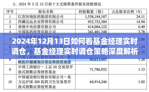 基金經(jīng)理實時調(diào)倉深度解析，洞悉策略與投資機(jī)會（2024年12月13日投資洞察）