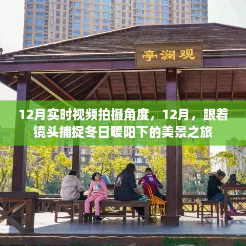 12月冬日美景之旅，捕捉暖陽下的絕佳拍攝角度