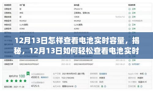 揭秘，如何輕松查看電池實(shí)時(shí)容量（12月13日指南）