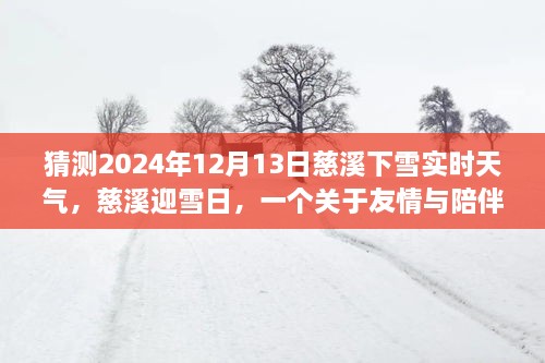 慈溪雪日溫情，友情與陪伴的溫馨故事，預(yù)測(cè)2024年12月13日實(shí)時(shí)天氣