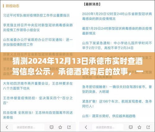 承德酒宴背后的故事，酒駕信息公示探秘之旅（猜測2024年12月13日承德市實(shí)時(shí)查酒駕信息公示）