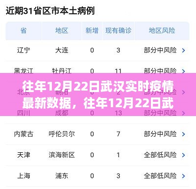 往年12月22日武漢實時疫情數(shù)據(jù)深度解析，特性、體驗、競品對比及用戶群體分析報告