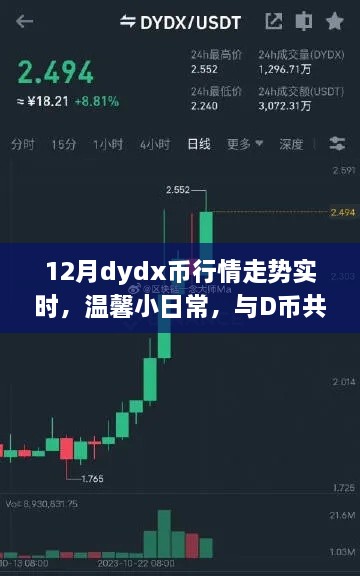 12月dydx幣行情下的快樂(lè)時(shí)光，實(shí)時(shí)走勢(shì)與溫馨日常