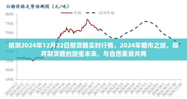 探尋期貨糖的甜蜜未來(lái)，預(yù)測(cè)2024年糖市行情與期貨糖實(shí)時(shí)行情展望