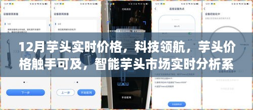 科技領(lǐng)航，智能芋頭市場實時分析系統(tǒng)上線，12月芋頭實時價格觸手可及！
