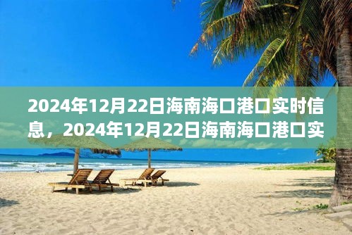 2024年12月22日海南?？诟劭趯崟r信息全解析，小紅書帶你掌握最新動態(tài)