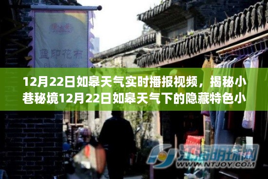 揭秘如皋小巷秘境，特色小店與12月22日天氣實(shí)時(shí)播報(bào)視頻