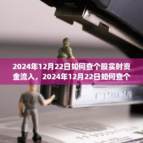 多維度解析與觀點(diǎn)探討，如何查詢個(gè)股實(shí)時(shí)資金流入——以2024年12月22日為例