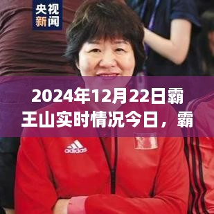 霸王山新篇章，學習變化中的自信與成就之旅（實時更新2024年12月22日）