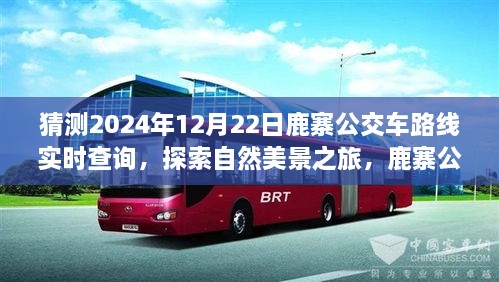 鹿寨公交路線新探秘，啟程2024年12月22日，探尋自然美景之旅實時查詢