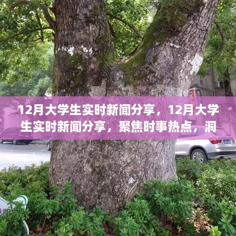 聚焦時事熱點，大學(xué)生實時新聞分享，洞察時代變遷的十二月觀察