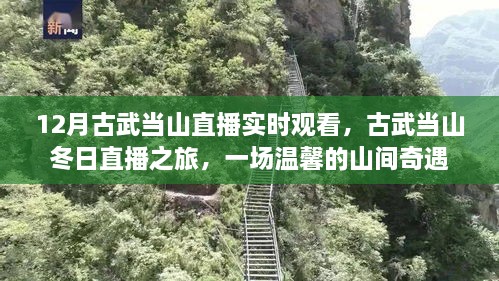 古武當(dāng)山冬日直播之旅，探尋山間奇遇的溫馨之旅