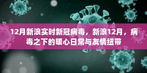 新浪12月，病毒下的暖心日常與友情紐帶，實時新冠病毒報道