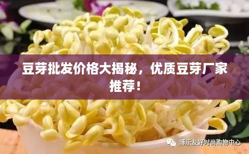 豆芽批發(fā)價格大揭秘，優(yōu)質(zhì)豆芽廠家推薦！