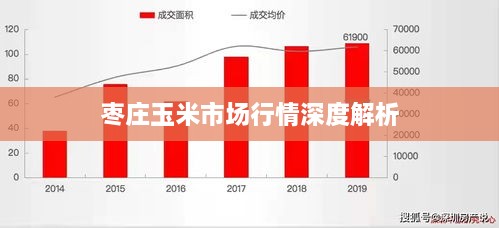 棗莊玉米市場(chǎng)行情深度解析